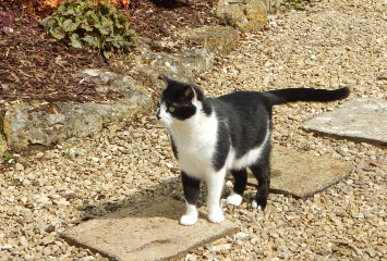 Thread 7 - TalkLair: “In fact it’s an oblate spheroid”