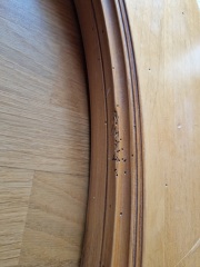 Is this woodworm or something else?