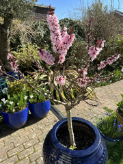 Autistic women assemble!