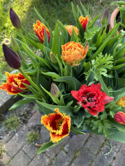 Autistic women assemble!