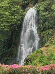 Cancer Support thread 86 - Stay Positive 