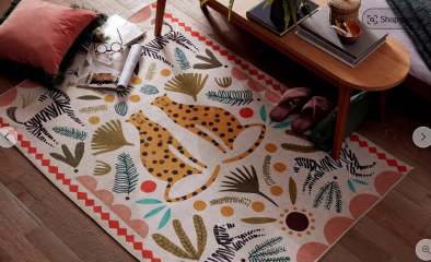 Which rug for 10 year old DD's room?