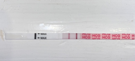 Ovulation date 25th or 26th March - TWW thread