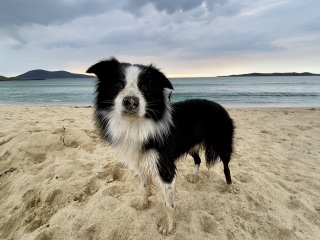 Autistic women assemble!