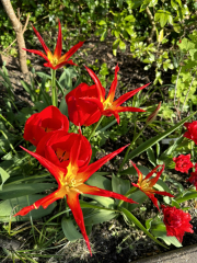 Autistic women assemble!