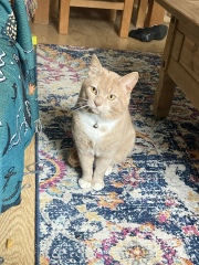 My new pal!