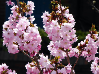 Thread 6 - TalkExiles: "Yup, still round."