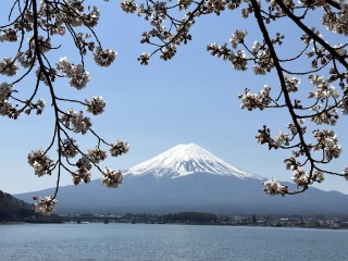 Japan  - where to go tips