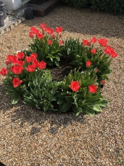 Autistic women assemble!