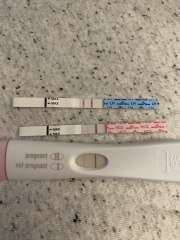 IVF 2ww faint line