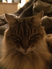 Autistic women assemble!