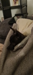 And this is why I cant fix my cushion covers