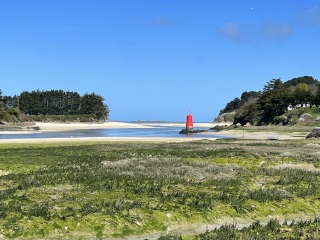 Cancer Support thread 86 - Stay Positive 