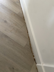 To ask the fitters to stop fitting my floor today
