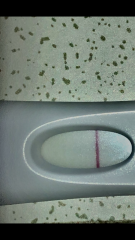 Very faint positive or evap/indent? 