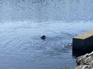 Come and tell me your dull and unexciting news 25: Calmly through the day 