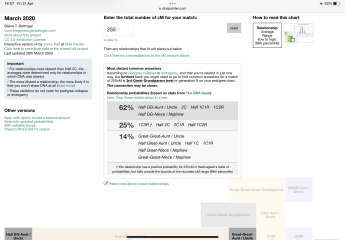 8% dna matched, is this more likely to be a 1st cousin or a 2;nd cousin?