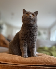 Thread 6 - TalkExiles: "Yup, still round."