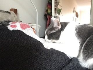 It's Crochet, Knit & Natter 10: New Year, New Yarn, New Thread!