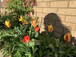 Show Us Your Pictures 6