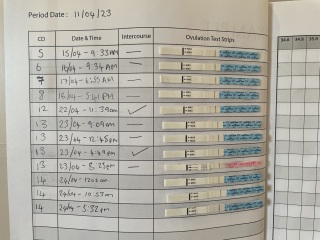 LH Testing - Baffled 😲