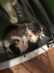 Advancing into April - Frugal Friends still being, er, Frugal.