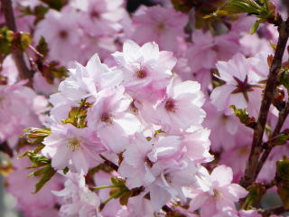 Thread 6 - TalkExiles: "Yup, still round."