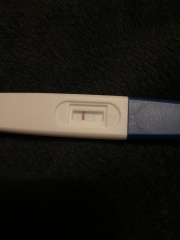 Early pregnancy?