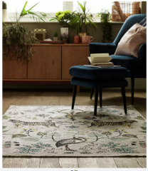 Which rug for 10 year old DD's room?
