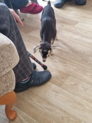 Advancing into April - Frugal Friends still being, er, Frugal.