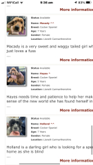 To not know what to do - dog related 