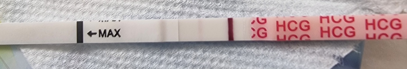 Bfp?