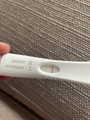 Cd1 anyone like to join me for April's cycle? 