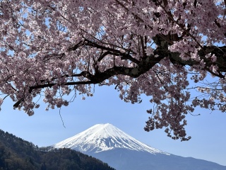 Japan  - where to go tips