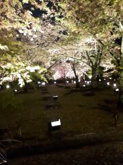 Have you been to a place no one else has been to?