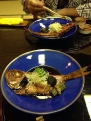 Two weeks in Japan