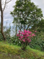 Cancer Support thread 86 - Stay Positive 