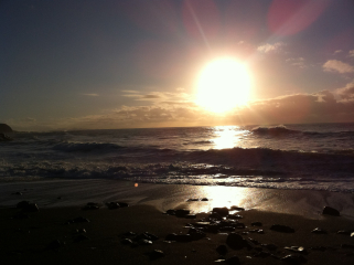 Autistic women assemble!