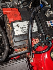 Rat Infestation has cost us thousands