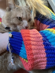 My new pal!