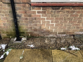 RISING DAMP BACK? 