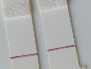 Faint line or not?