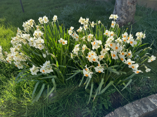 Autistic women assemble!