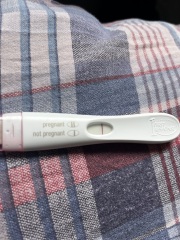 Faint positive, evap, or no line at all? 😂