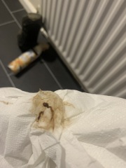 Early pregnancy/implantation?
