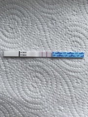 Anyone else TTC #1? Just looking for TTC buddies!