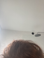 Box dye disaster 