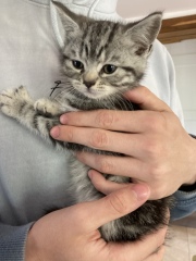 Sisters need names 