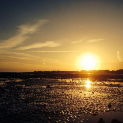 Autistic women assemble!