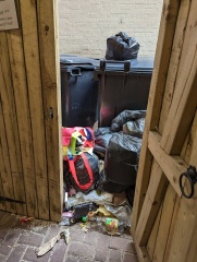 Rat Infestation has cost us thousands